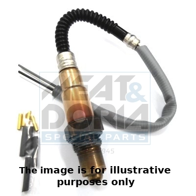 Oxygen Sensor